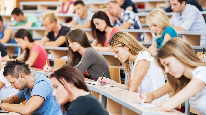 专业导师团队支持学员职